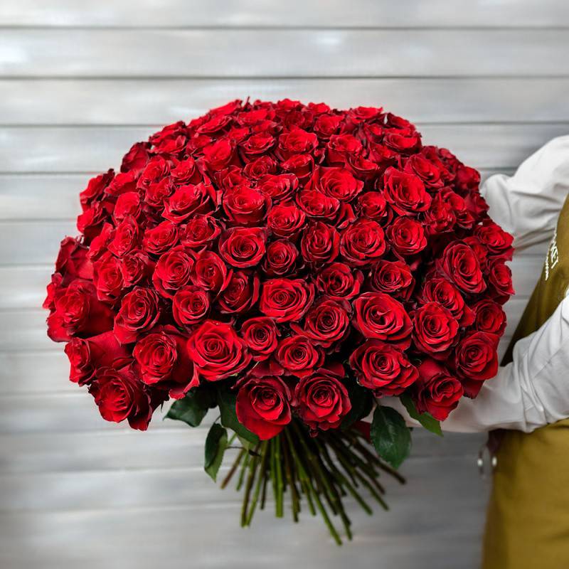 101,red,rose,with,ribbon,Ecuador,50,cm
