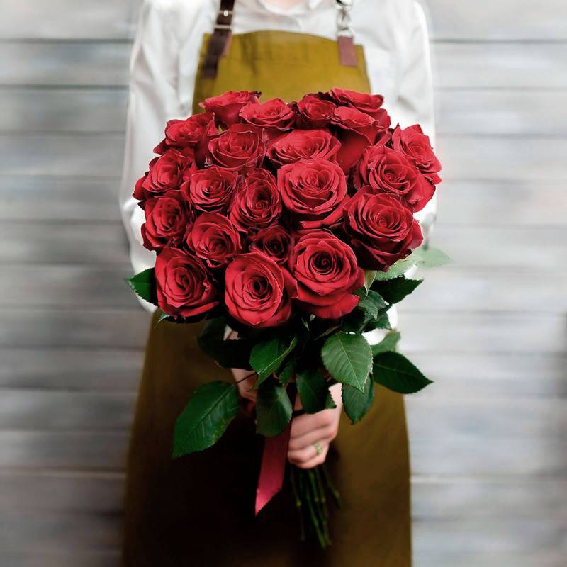 21,red,rose,Ecuador,50,cm