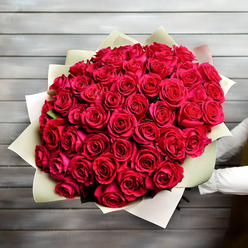 51,raspberry,rose,in,a,package,Ecuador,50,cm