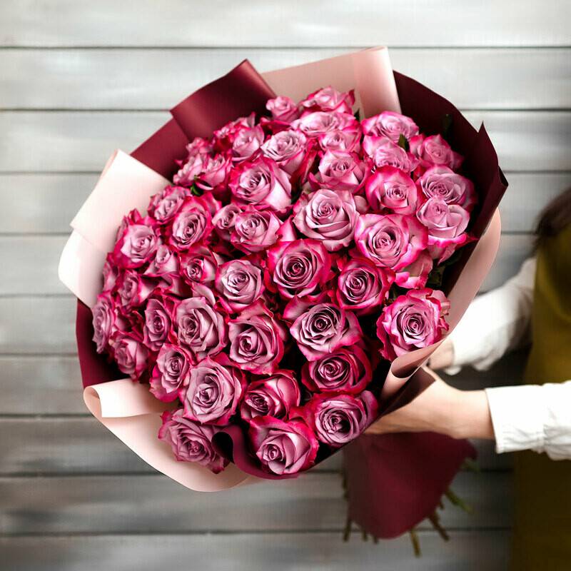 51,purple,rose,in,a,package,Ecuador,50,cm