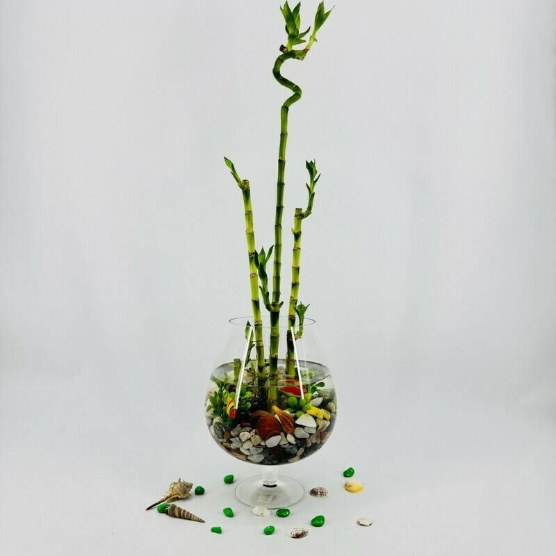Dizajnerskaya,kompozitciya,bamboo,v,vase,bokal.,"Shastlivij,Bamboo"
