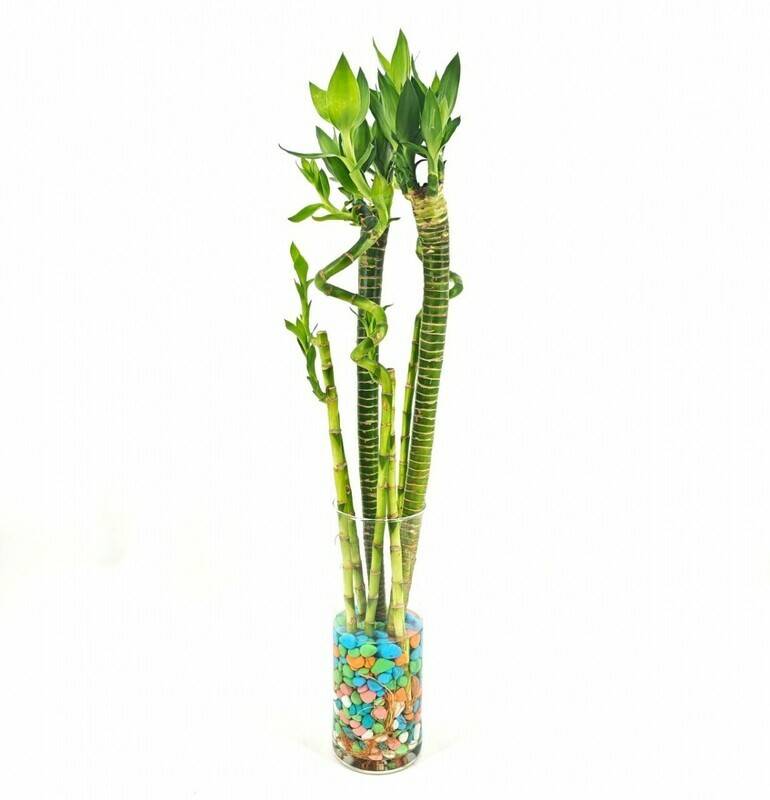 Inter_ernaya,composite,bamboo,and,glass,vase.,"Schastlivij,Bamboo"