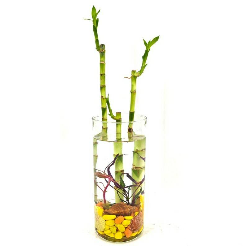 Nastol_naya,kompozitciya,bambuk,v,steklyannoj,vaze,s,dekorom.,"Shastlivij,Bamboo"