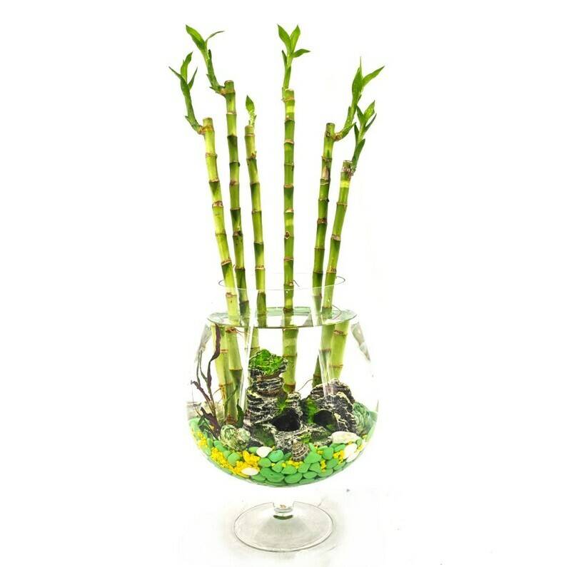 Dizajnerskaya,kompozitciya,bambuk,v,steklyannoj,vase,bokal,fuzher.,"Shastlivij,Bamboo"