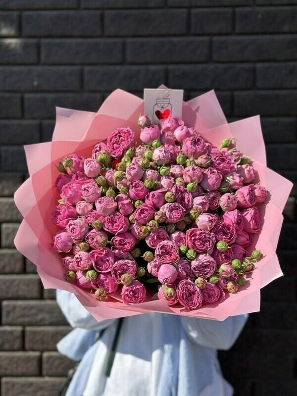 Yarkie,kustovie,pink
