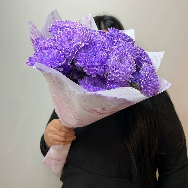 The,chrysanthemum,is,purple.