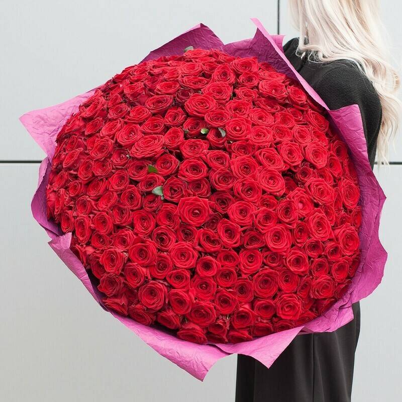 Bouquet,of,red,roses,Red,Naomi,50,cm,In,the,arms,of,a,beautiful,201,rose