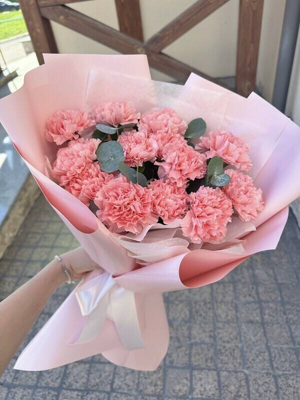 Pink,resistant,dianthus
