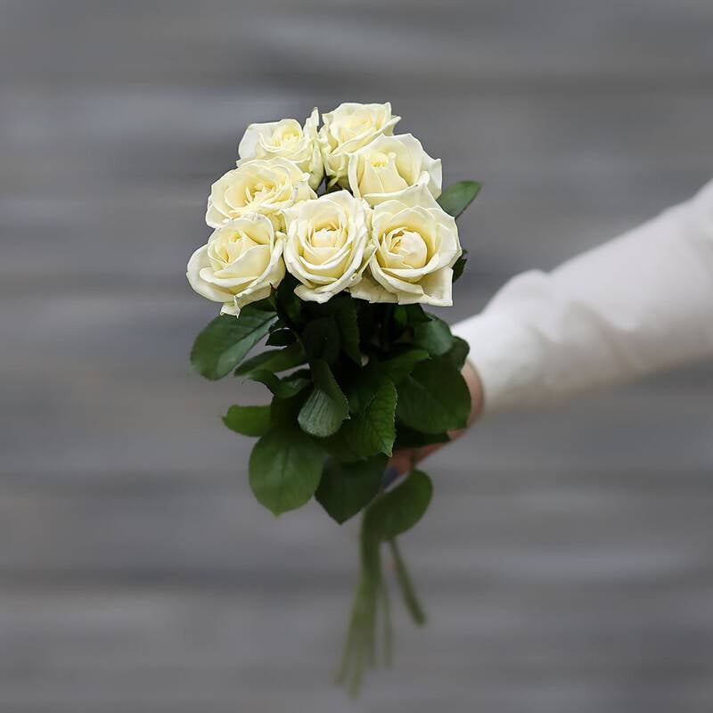 Buket,iz,7,belih,rose,(Rossiya),lentoj,60,cm