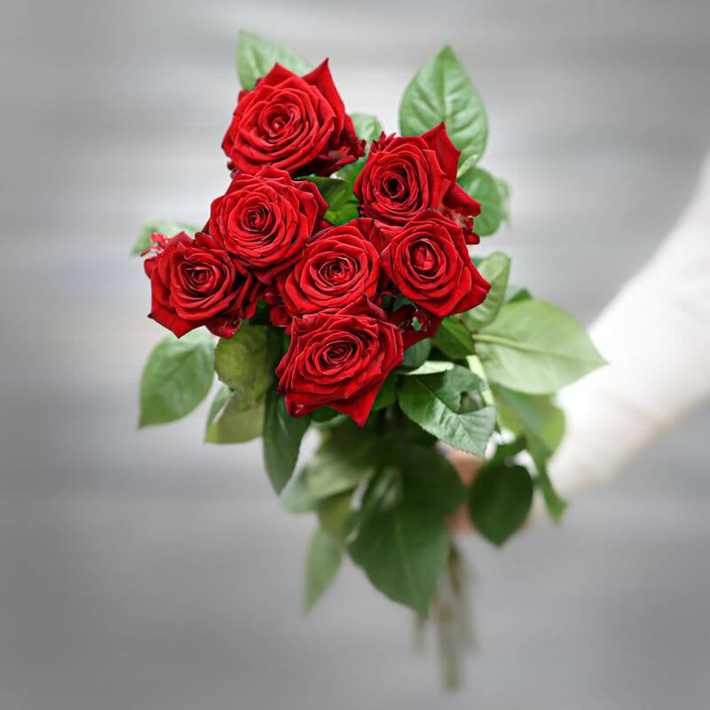 Bouquet,of,7,red,roses,(Russia),with,ribbon,60,cm