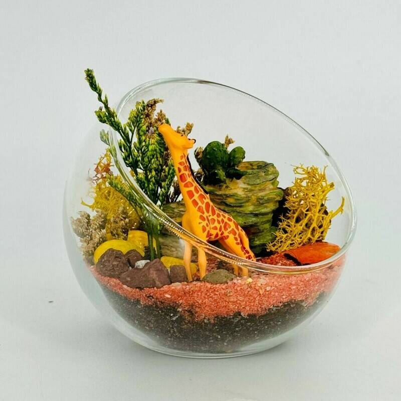 Inter_ernij,mini,florarium,s,zhirafom,"Safari"