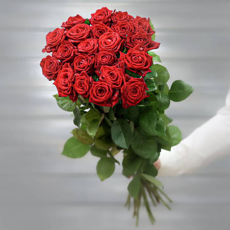 Bouquet,of,27,red,roses,(Russia),with,a,ribbon,of,60,cm