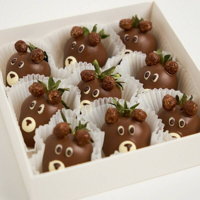 Barni,Chocolate,Strawberry,Set,,6-9,Berries