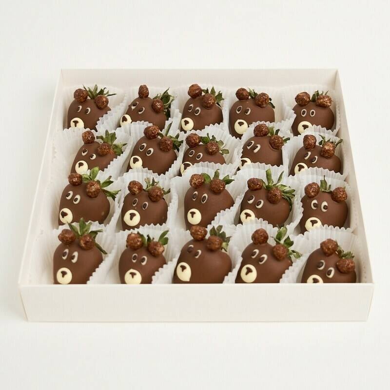 Barni,Chocolate,Strawberry,Set,,16-20,Berries
