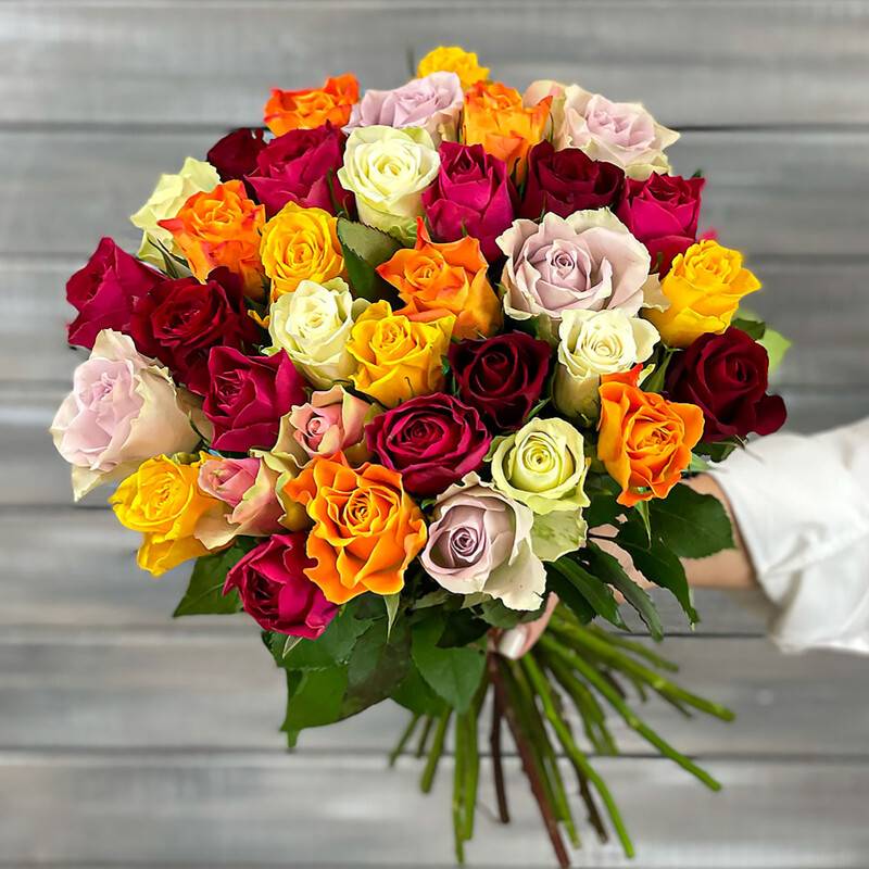 Multi-colored,roses