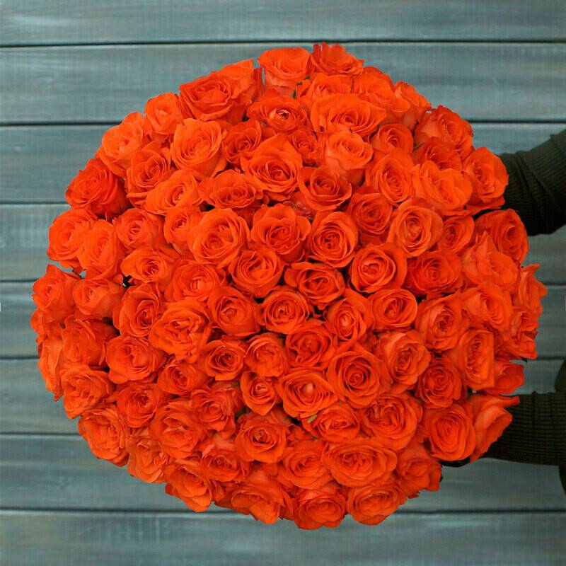 75,orange,rose,with,ribbon,Kenya,40,cm.