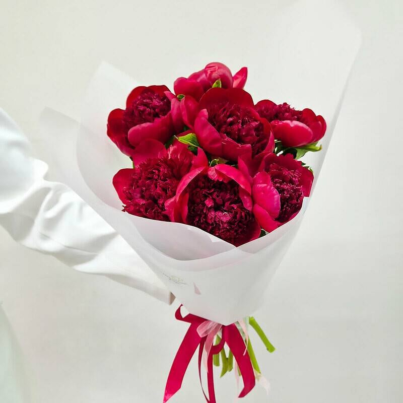Monobucket,of,7,maroon,peonies,Red,Charm