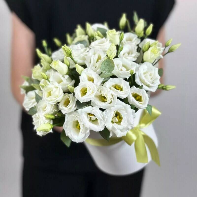 White,Harmony