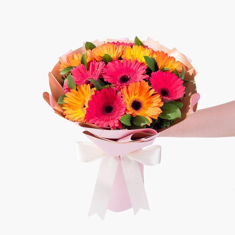 Gerbera Galore