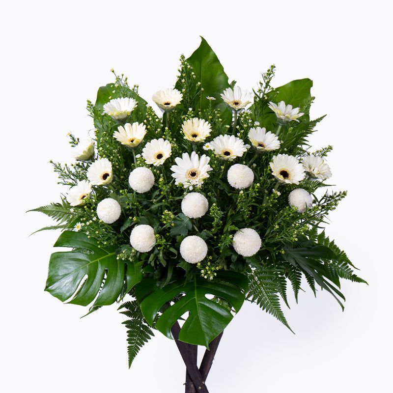 Peace of Mind Condolence / Funeral Flowers