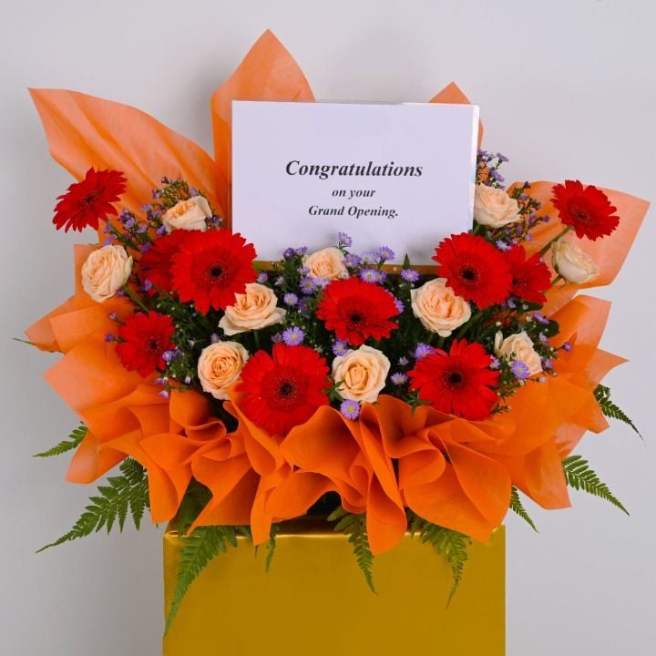 Rising Star Opening Flower Stand