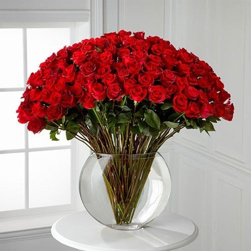 Heavenly Roses
