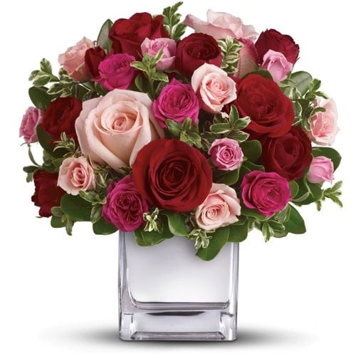 Rose Ecstasy