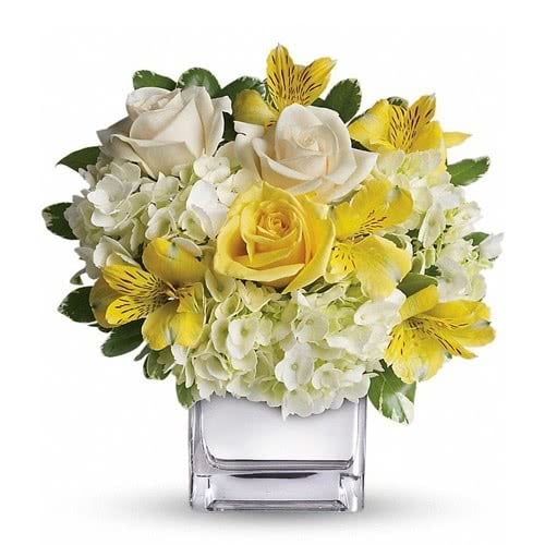 Bright Blooms