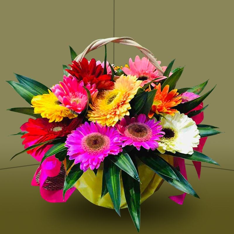 Stunning 15 Multi-Color Gerbera Basket