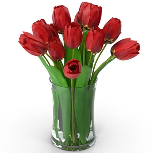 Love Tulips#3