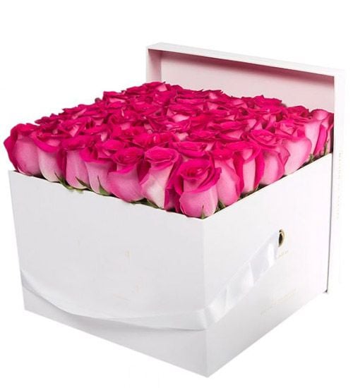 50 Pcs. Pink Roses in Square Shaped Box