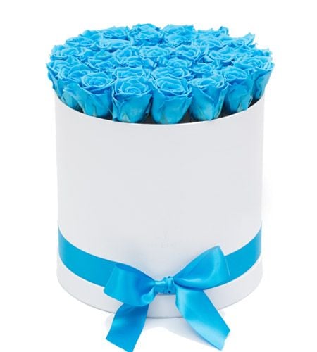 2 Dozen Blue Color Roses in a Box