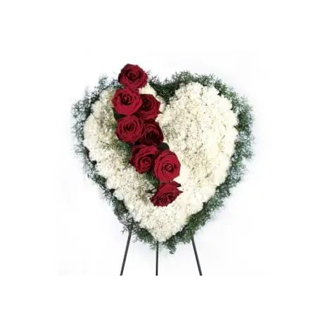 Bleeding Heart#16