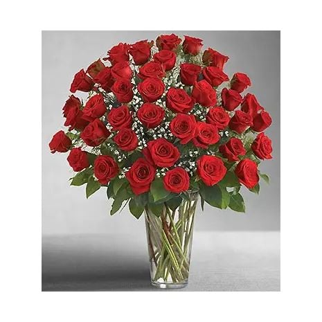2 Dozens Red Rose
