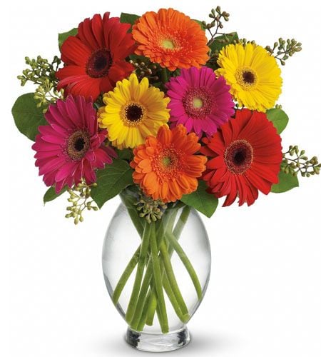10 Assorted Gerberas in Vase