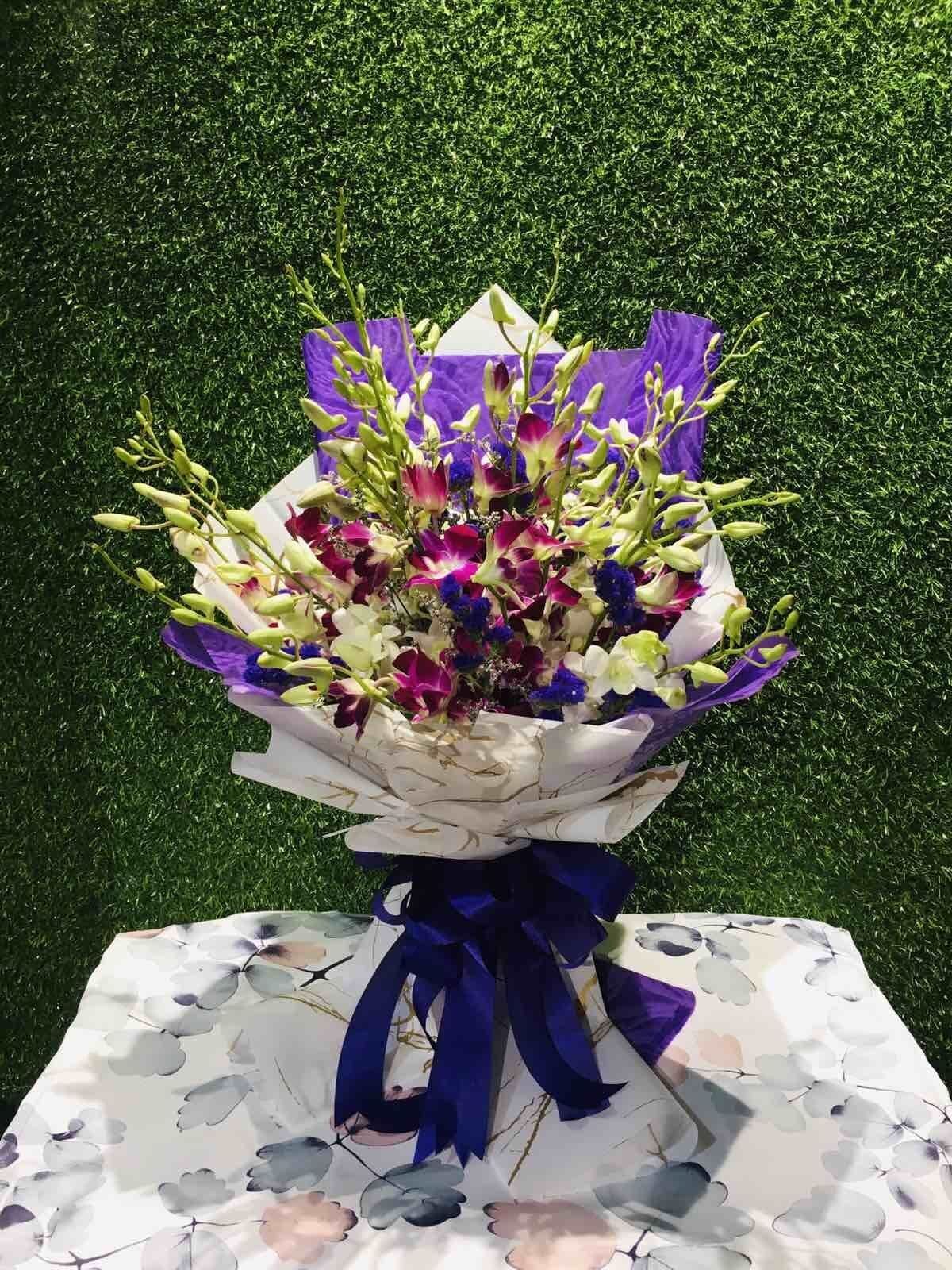 Elegant Orchids