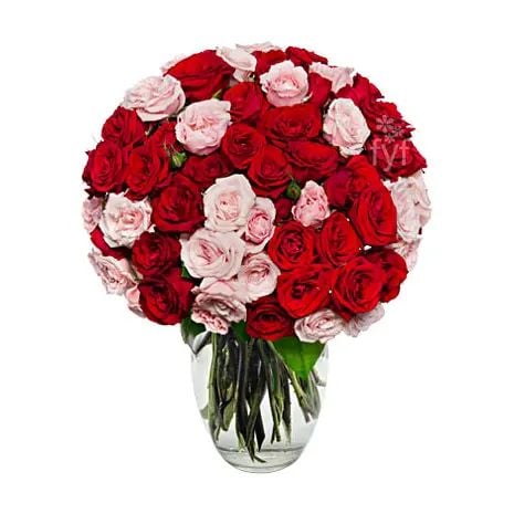 100 Blooms of Pink and Red Roses#80