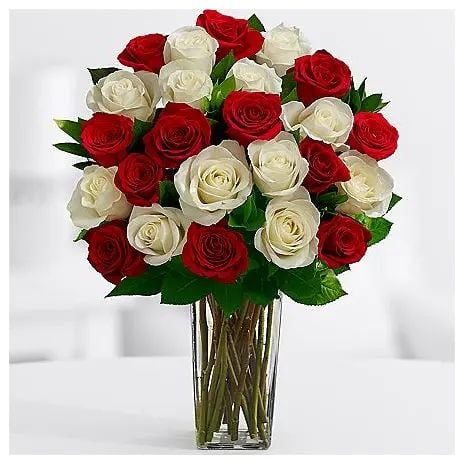 Buy 12 Red Roses and get 12 White roses absolutely FREE! with FREE VASE