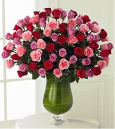 Spring Awakenings (48 Rosesus)