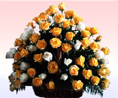 Celebration (48 Rosesus)