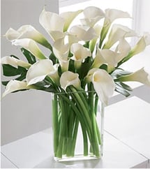 Serenity (24 Calla Liliesus)