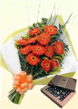 Orange Beauty (24 Gerbera Daises + Chocolatesus)