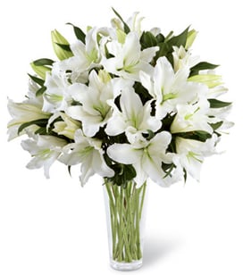 A Light In Your Honor (11 Lily Stemsus)