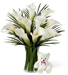 Distance Caress (12 Calla Lilies + Teddy Bearus)
