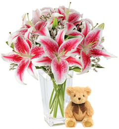 Special Occasion (6 Lily Stems + Teddy Bearus)