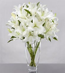 Hope (5 Lily Stemsus)
