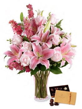 Pink Joy (Medium)