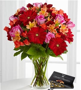 Multicolor Surprise (Medium)