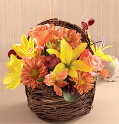 Floral Surprise (Medium)