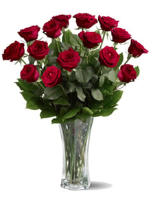 15 Roses, 15 Years (15 Roses Wrapped In Paperus)
